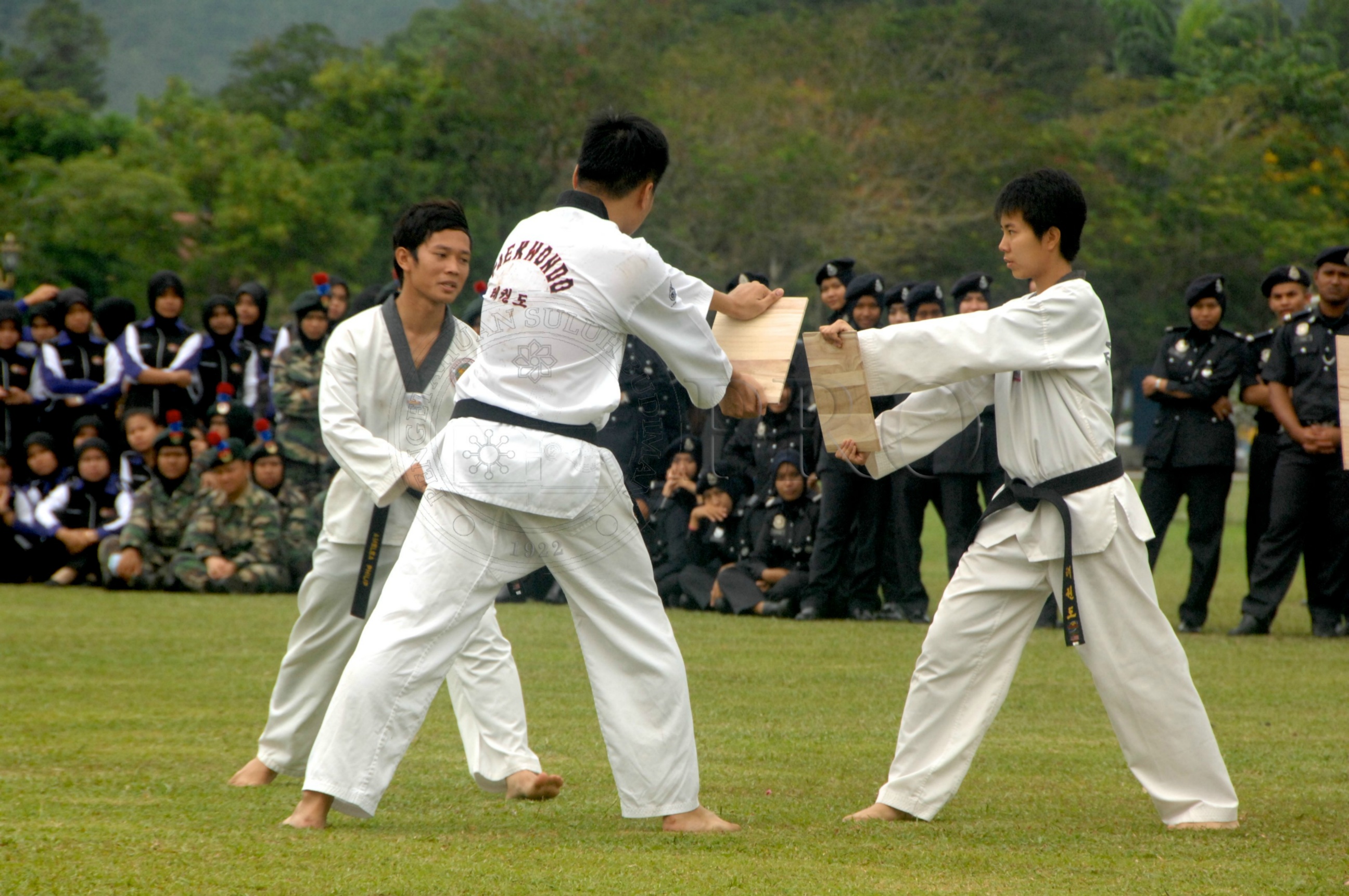 PRO 14 43 KKO IDA 1001